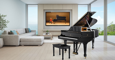 Family of Steinway Sale