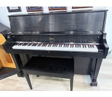 Boston UP118S Black Oak Satin
