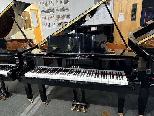 Yamaha GP1 Ebony Polish