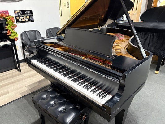 Steinway B Ebony Satin
