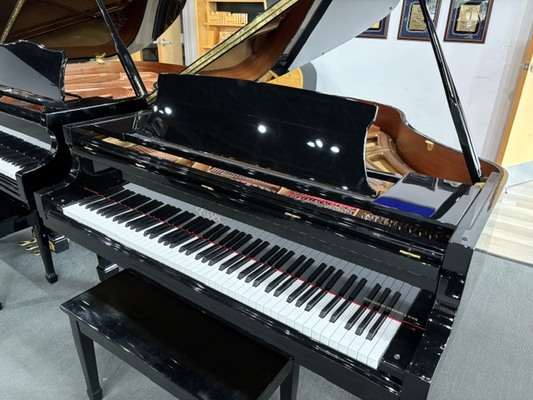 Essex EGP155 Ebony Polish