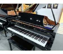 Essex EGP155 Ebony Polish