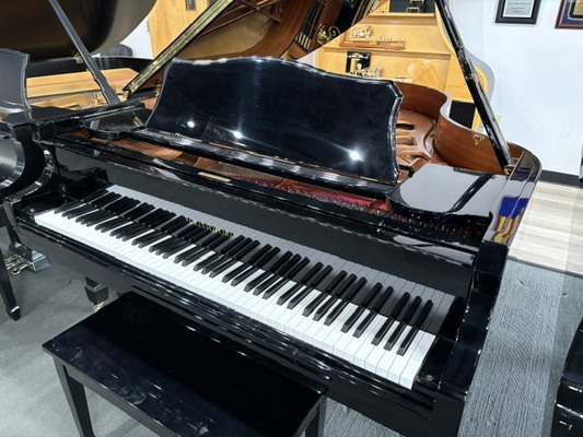 Cristofori CRG58 Ebony Polish