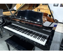 Cristofori CRG58 Ebony Polish