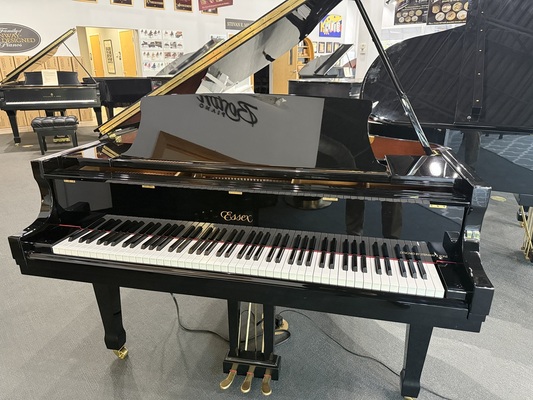 Essex EGP155 Player Grand