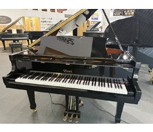Essex EGP155 Player Grand